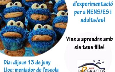 CURS CUPCAKES. VINE A APRENDRE AMB ELS TEUS FILLS!!!